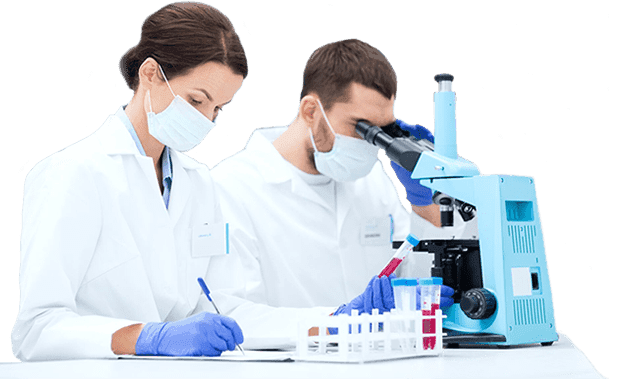 Scientists collaborating in a laboratory